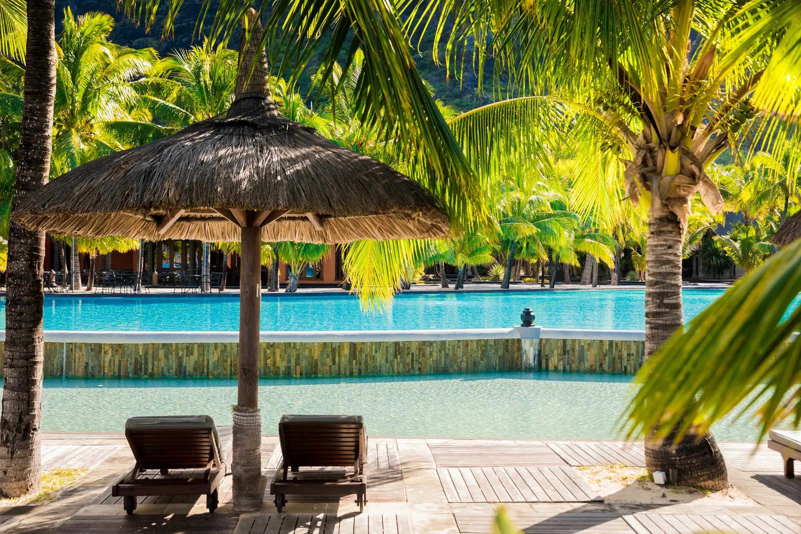 Representative tropical resort pool and thatched umbrella